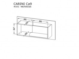 Ca9